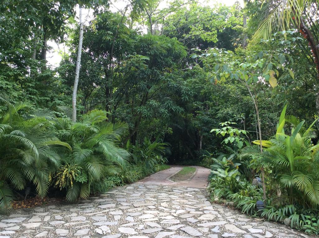Hotel Boutique Quinta Chanabnal Palenque Esterno foto